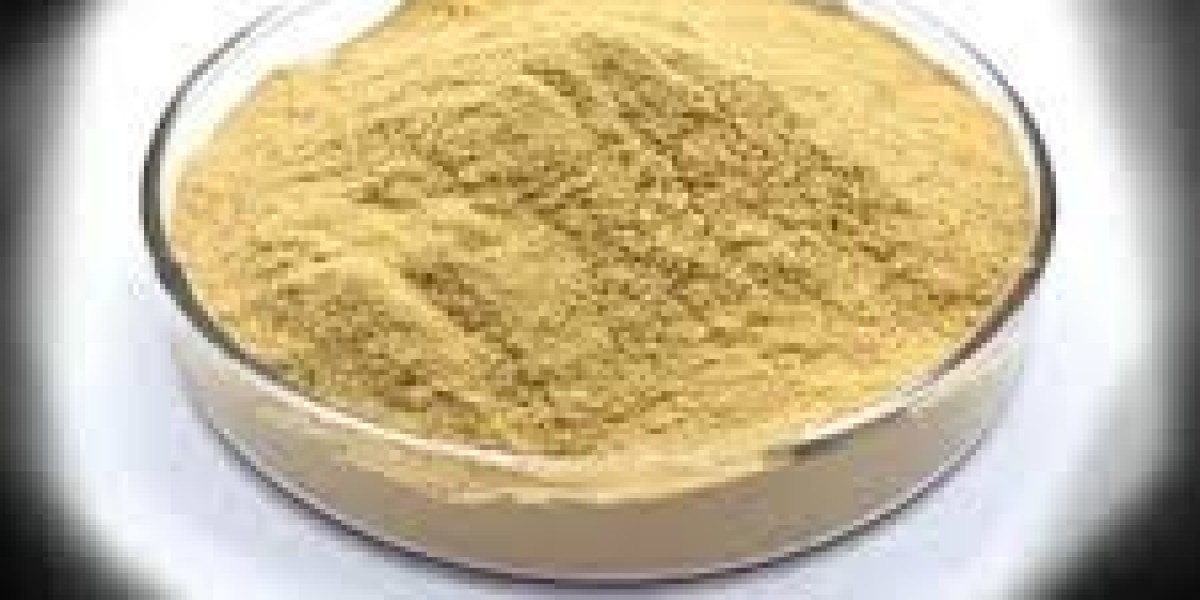 Yeast Nucleotides Market rising interest from pharmaceutical and clinical research sectors