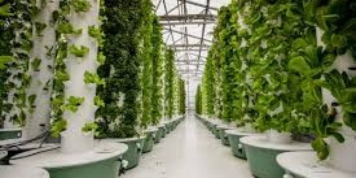 Vertical Farming Market Research Report – Global Trends & Forecast