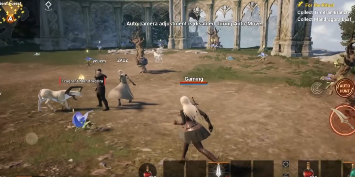 MMOexp – Fuel Your Journey in Lineage 2M