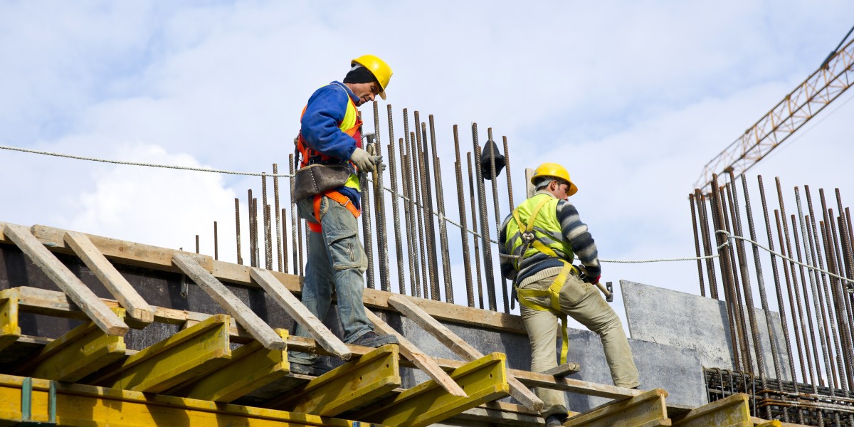The Importance of Ladder Fall Arrest Systems in Industrial Settings