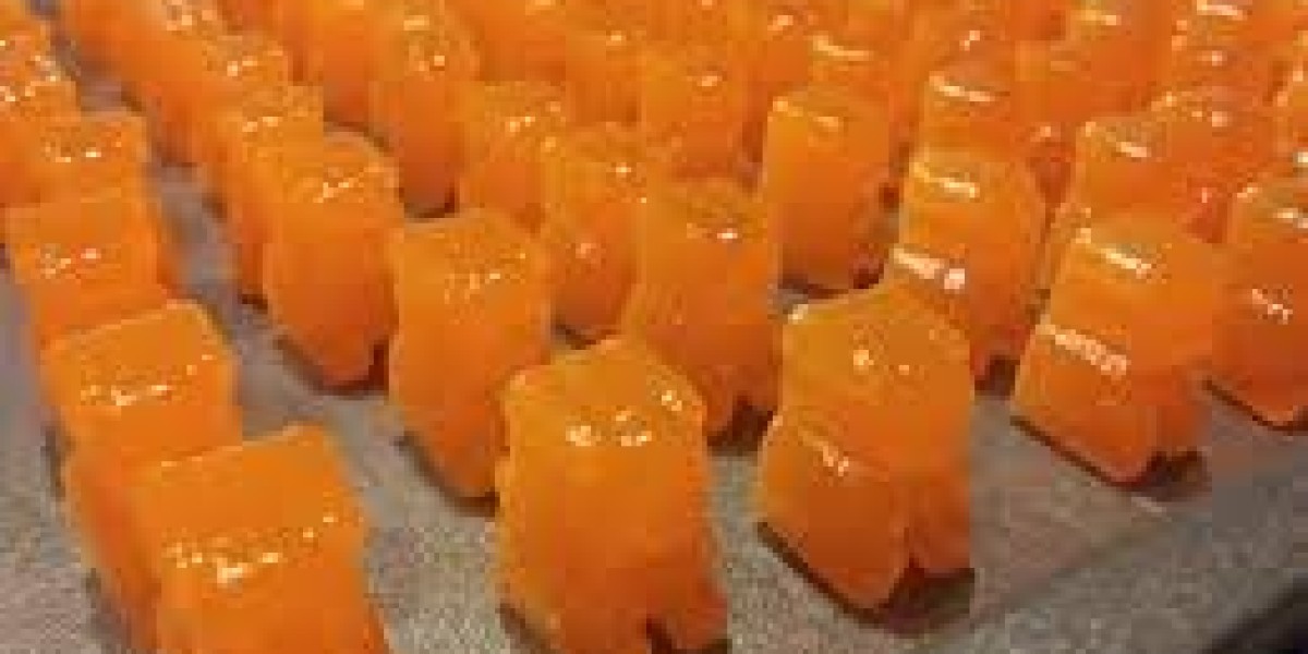 Citrus Gummies Market Segmentation and Analysis by Consumer Preferences 