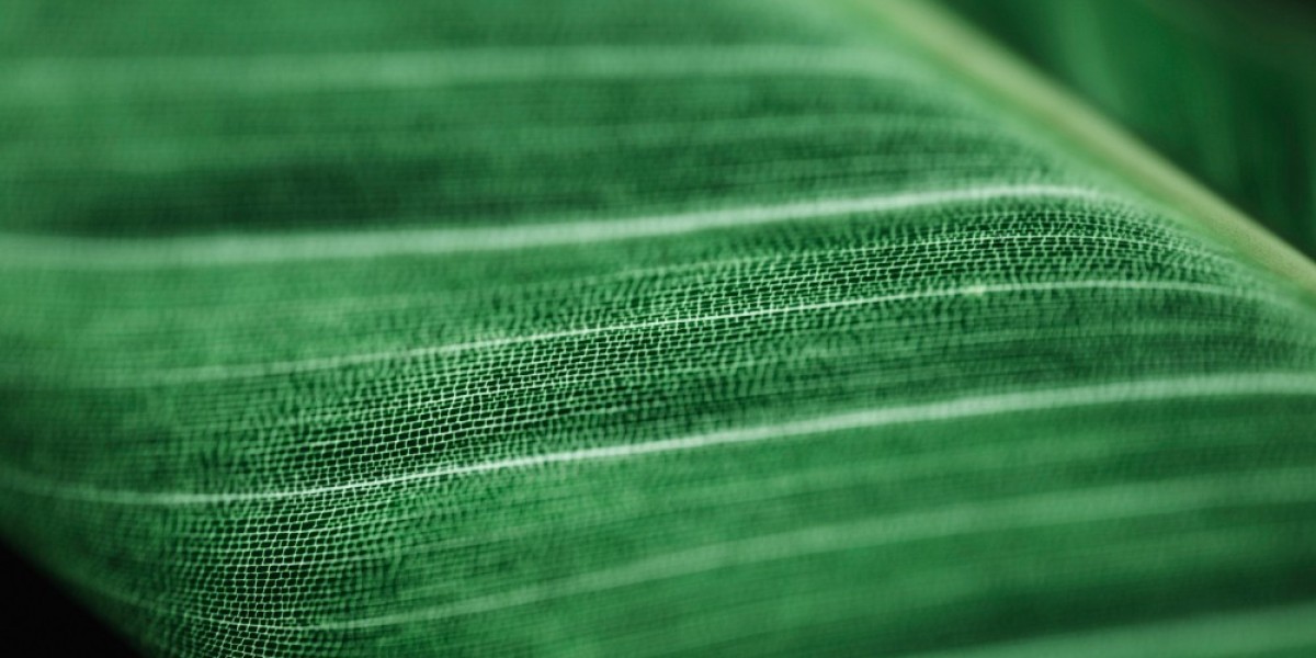 Recycled Carbon Fiber Market: Driving the Future of Sustainable Composites