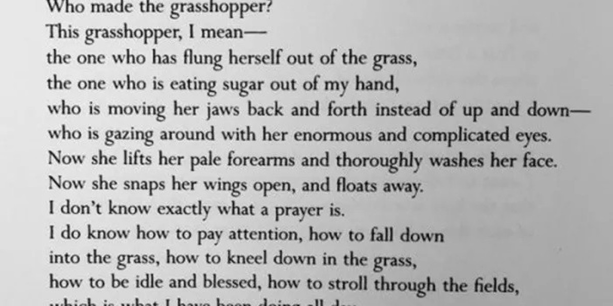 Discover 45 Mary Oliver Poems About Summer You’ll Enjoy