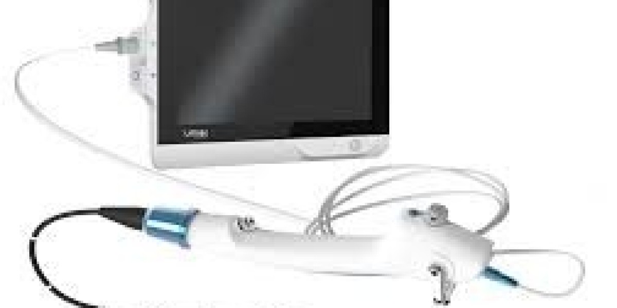 Veterinary Endoscope Market Growth Forecast