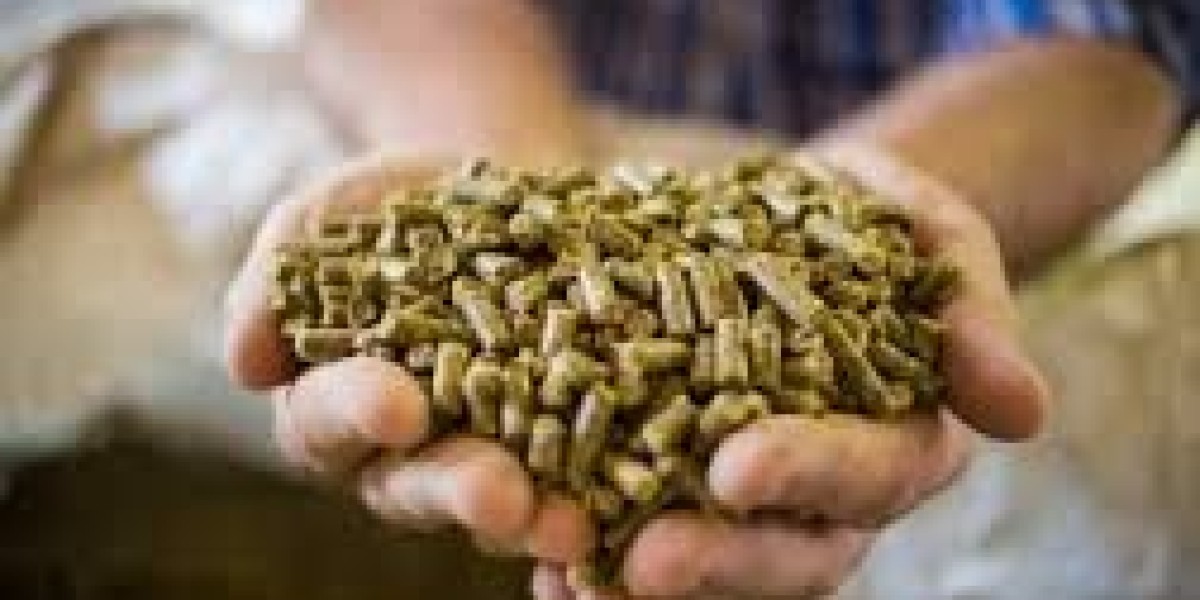 Feed Enzymes Market poised for acceleration due to rising meat and dairy consumption