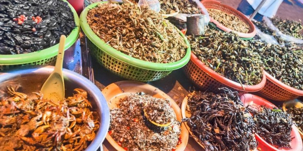 Japan Insect Feed Market Size, Business Growth and Driver by 2035