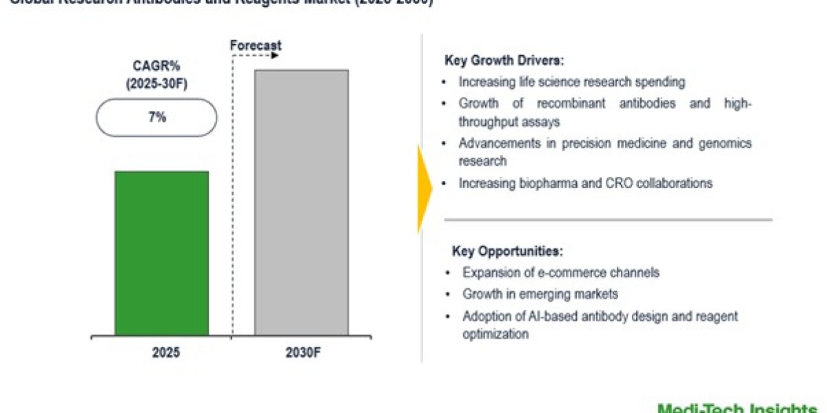 Global Research Antibodies and Reagents Market climbs with multiplex assay solutions by 2030