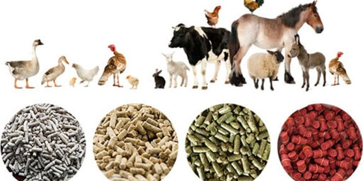 Animal Feed Additives Market Insights Highlighting Shifting Nutrition Priorities in Global Livestock Farming