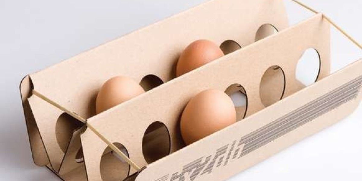 Egg Packaging Market Share Analysis 2025 Growth, Trends Analysis Report 2035
