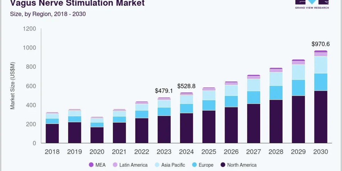 Vagus Nerve Stimulation Market 2030: Exploring Global Regional Trends