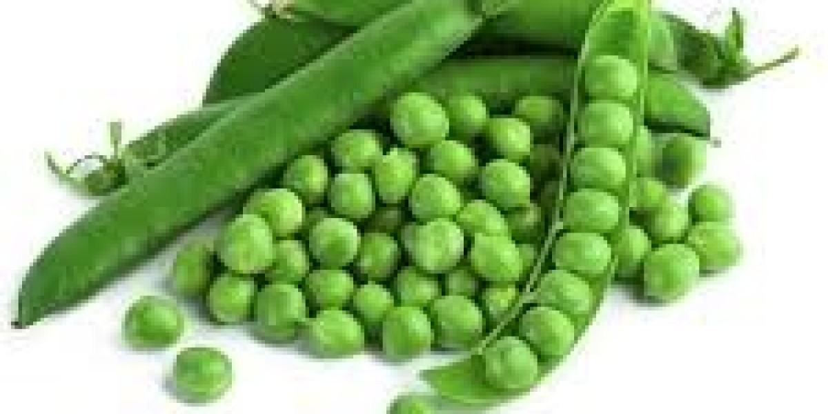 Pea Fiber Market Supply Chain Efficiency