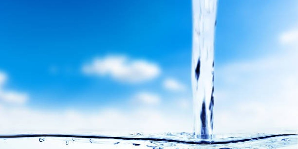 Top Ultrapure Water Market Size Share and Growth Outlook Report