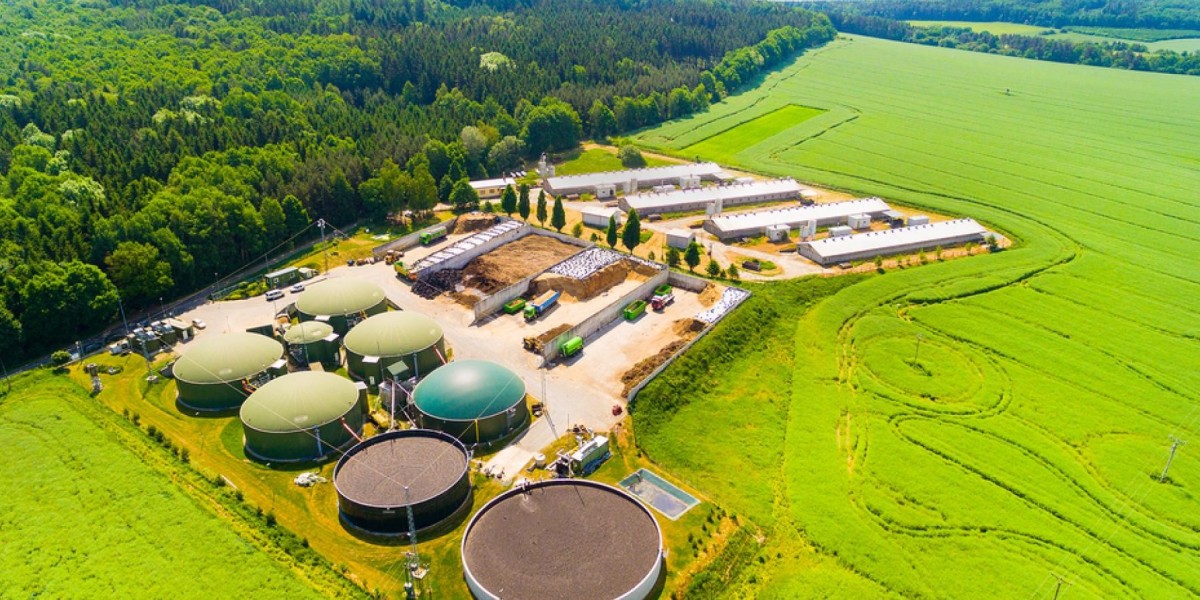 Biogas Blending Market : Analyzing the Industry's Growth and Challenges