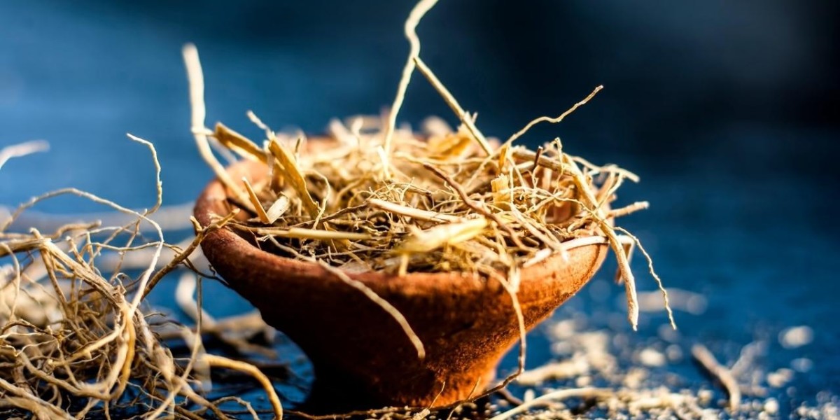 Competitive Landscape and Key Players in the Vetiver Oil Market