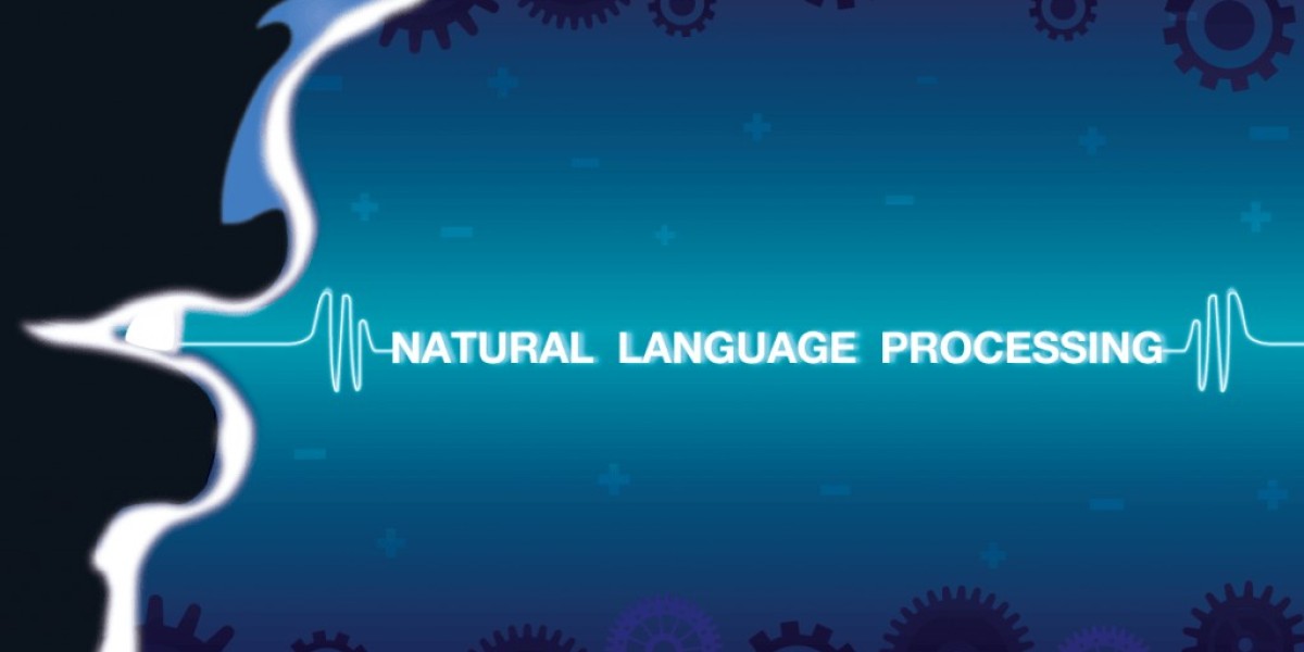 Natural Language Processing Market Size, Growth, and Strategic Outlook 2025-2032