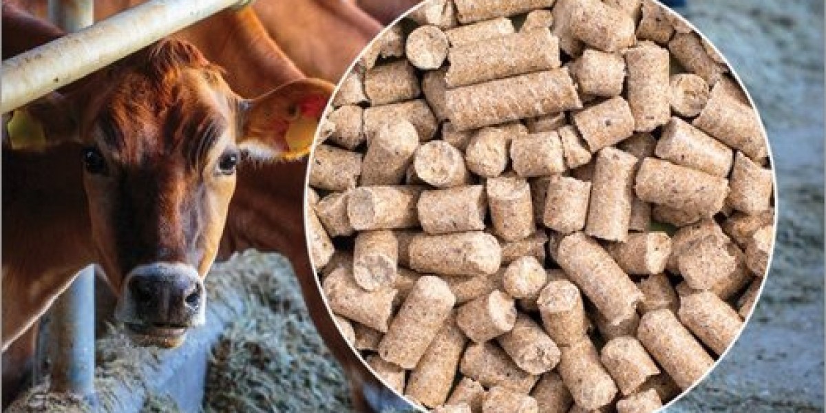 KEY FACTORS IMPACTING THE CATTLE FEED MARKET: REGULATIONS, INPUT COSTS & FARMING TRENDS