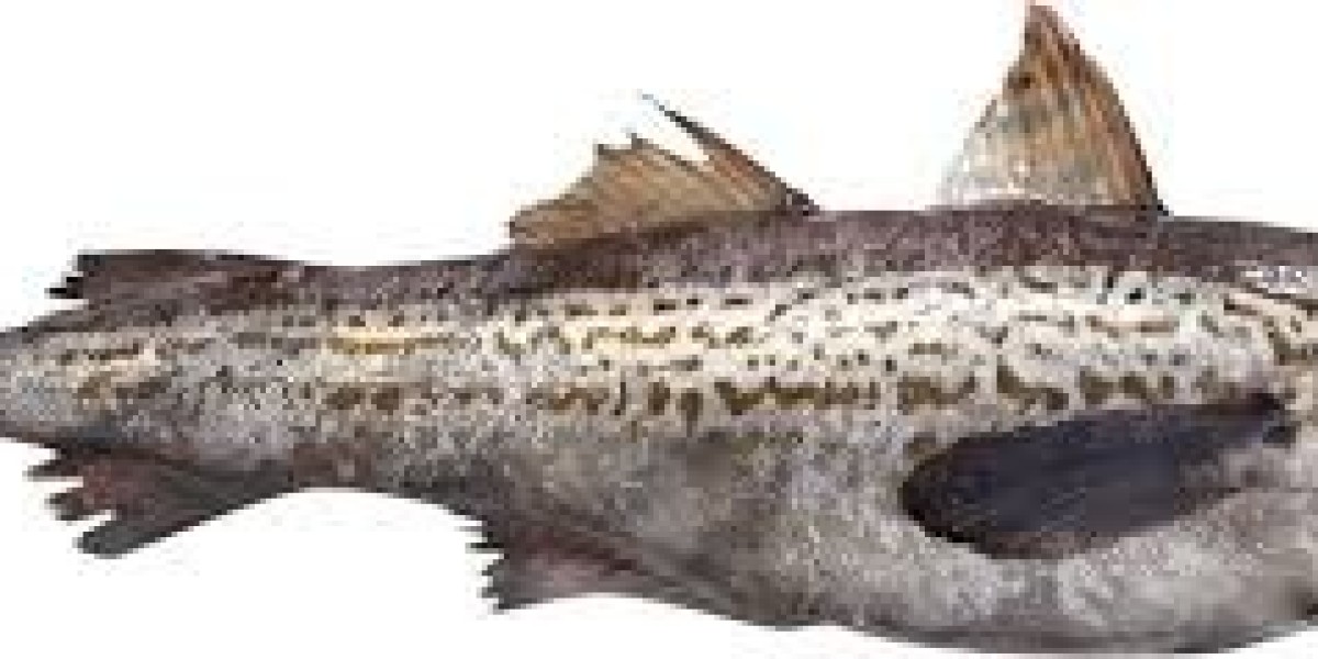 Wild Pollock Market Supply Chain Analysis