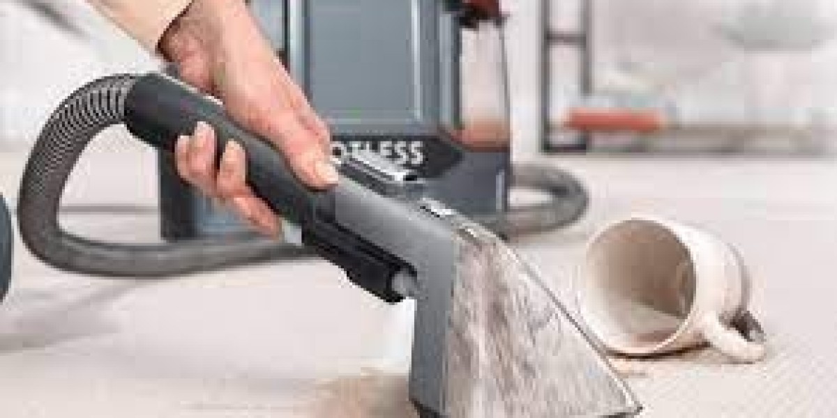 Portable Spot Cleaners Market: How Top Brands Are Shaping the Industry