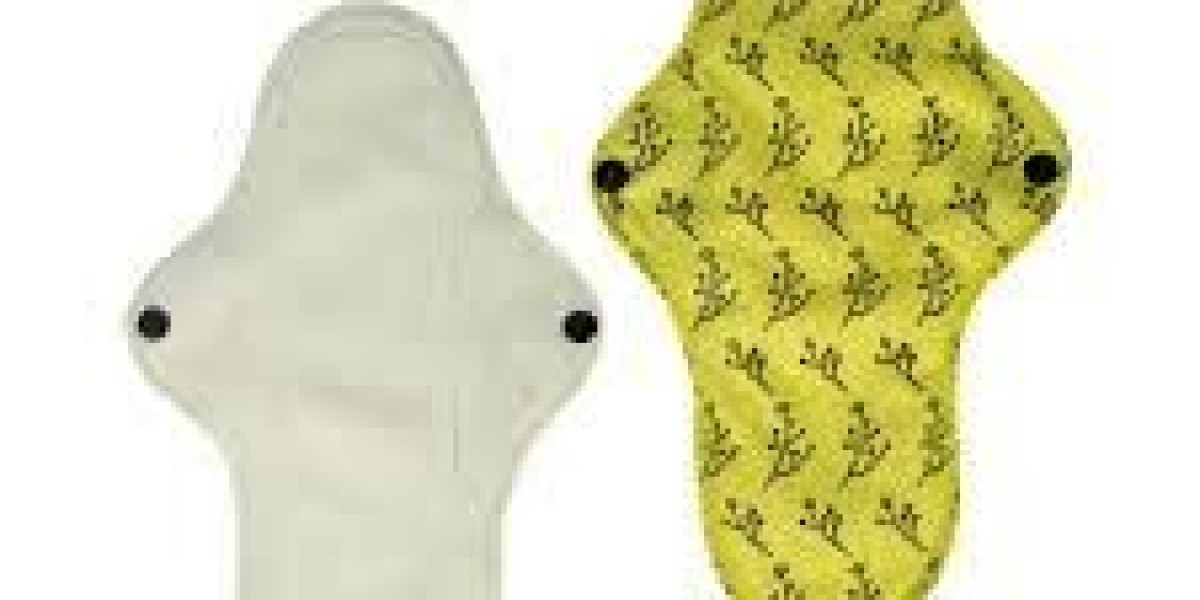 Reusable Sanitary Pads Market growth outlook shaped by shifting consumer values and lifestyle habits