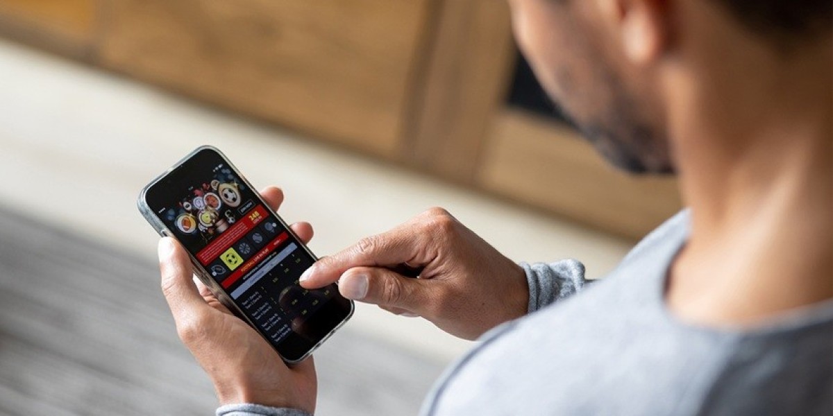 How to Bet on IPL 2025: Winning IPL Tips