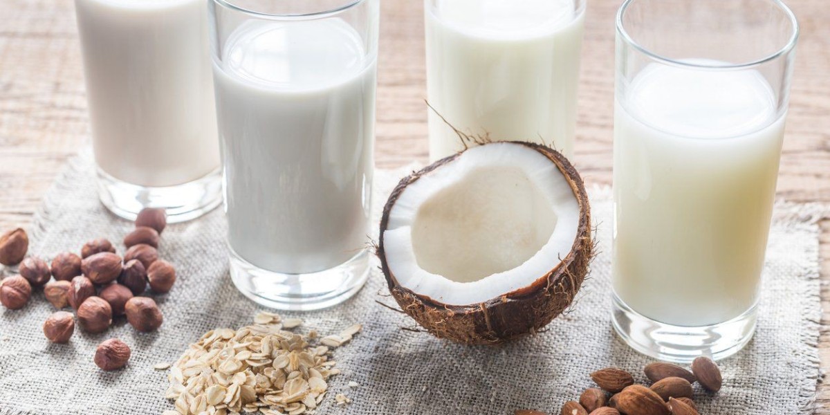 Fortified Dairy Products Market: Industry Size, Trends, Forecast, and Key Drivers