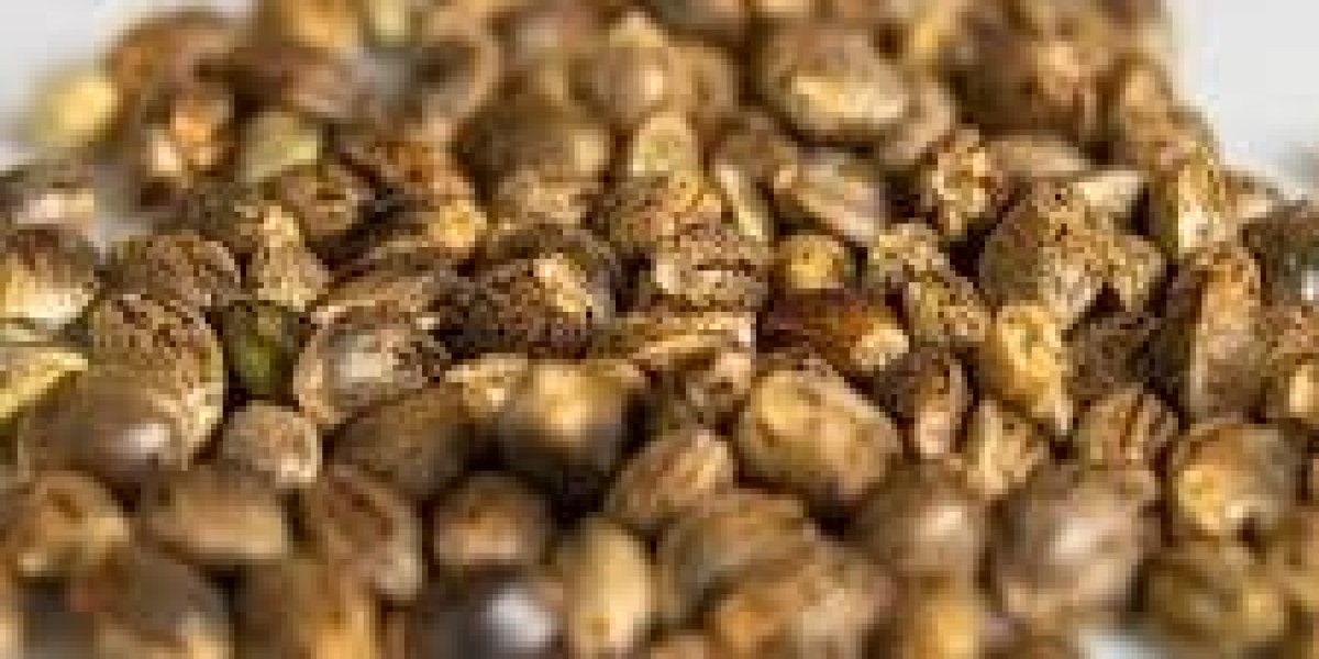 Factors Shaping Growth and Disruption in the Cannabis Seeds Market