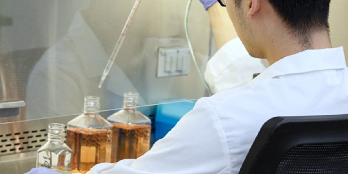 Fetal Bovine Serum Market Size, Share & Competitive Analysis Report 2025–2033