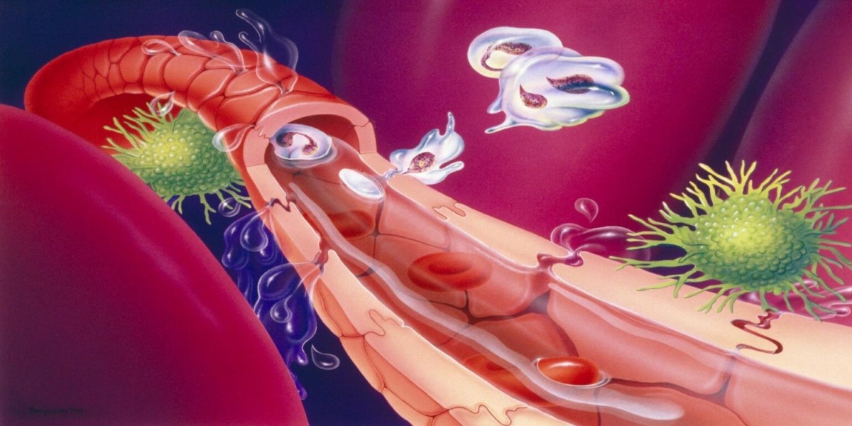 Sepsis Diagnostics Market: Comprehensive Analysis of Growth, Trends, and Strategies
