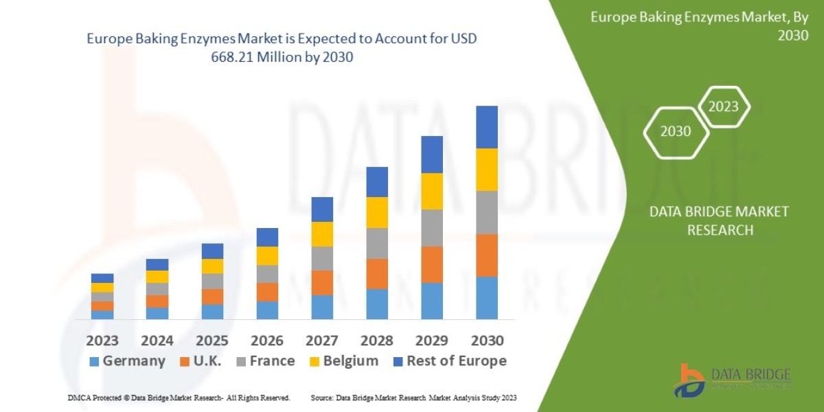 Europe Baking Enzymes Market Flourishes Amid Shift Toward Healthier and Artisanal Baking
