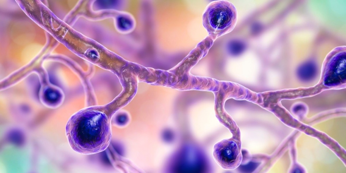 Blastomycosis Treatment Market Growth and Strategic Outlook 2025-2032