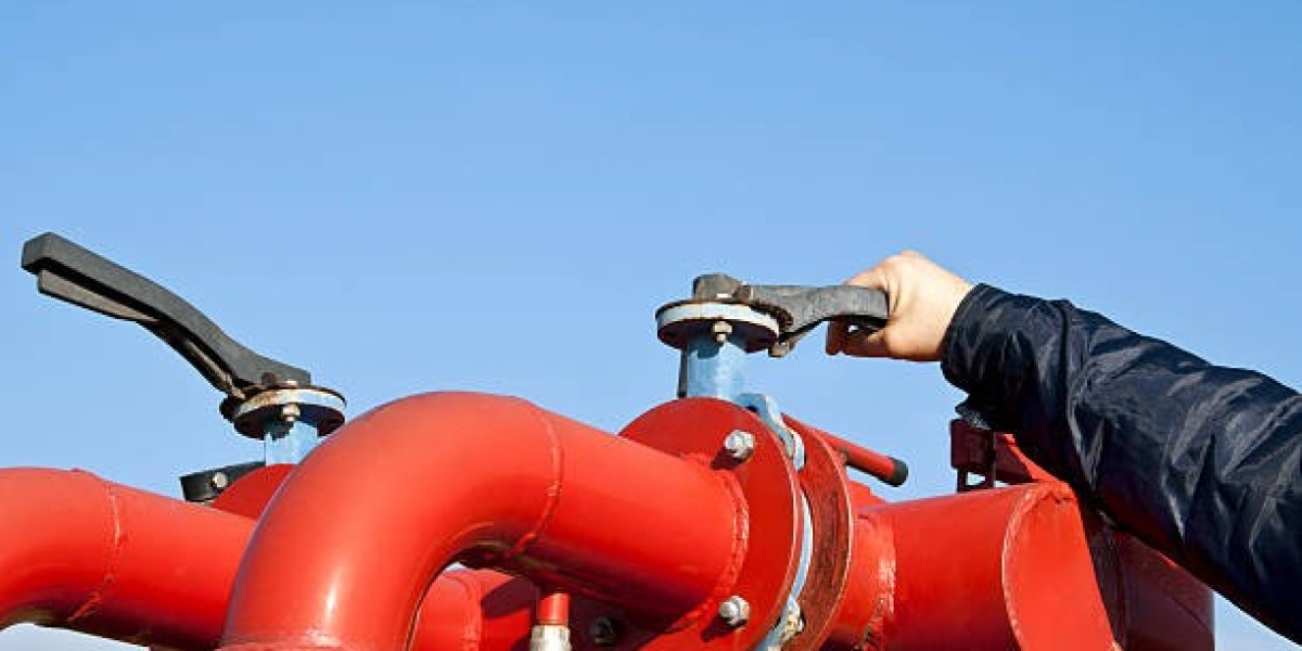 Can a Water Flow Meter Measure Bidirectional Flow?