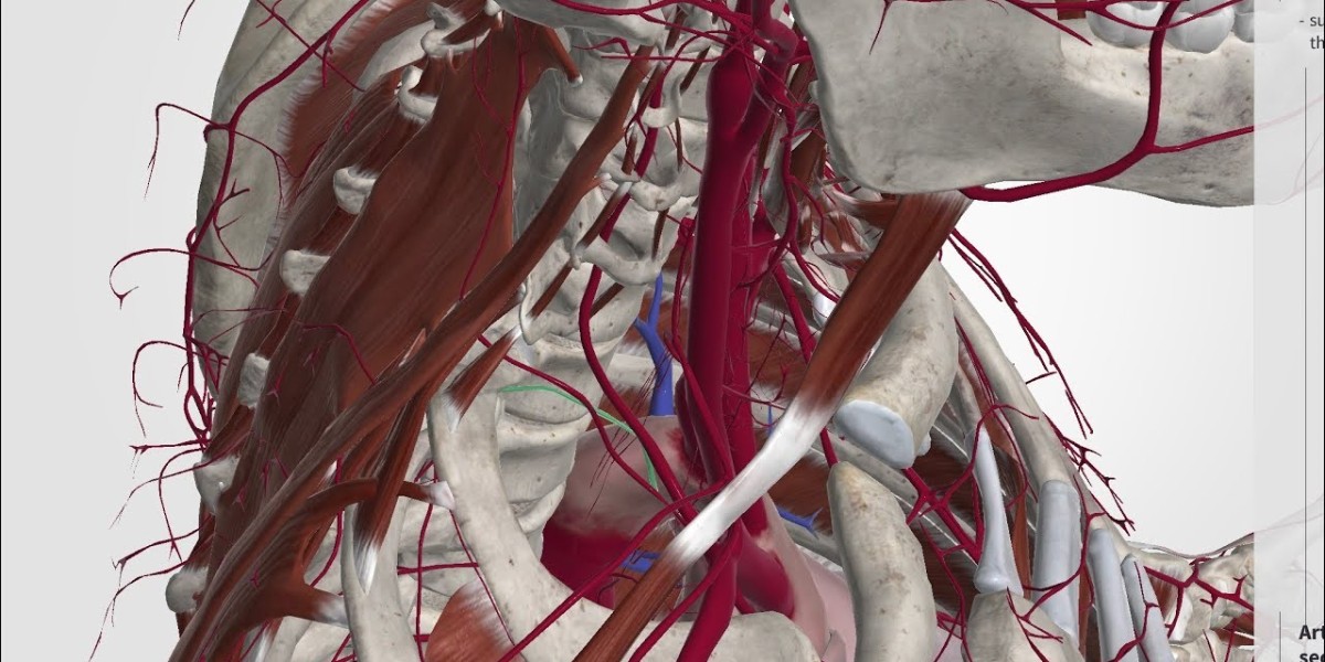 Carotid Artery Stent Market Size, Trends, and Strategic Outlook 2025-2032