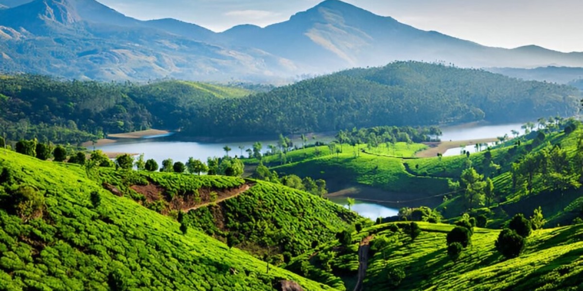 Unlock the Divine Secrets of God’s Own Country: The Ultimate Kerala Temple Tour with Yatra Veda!