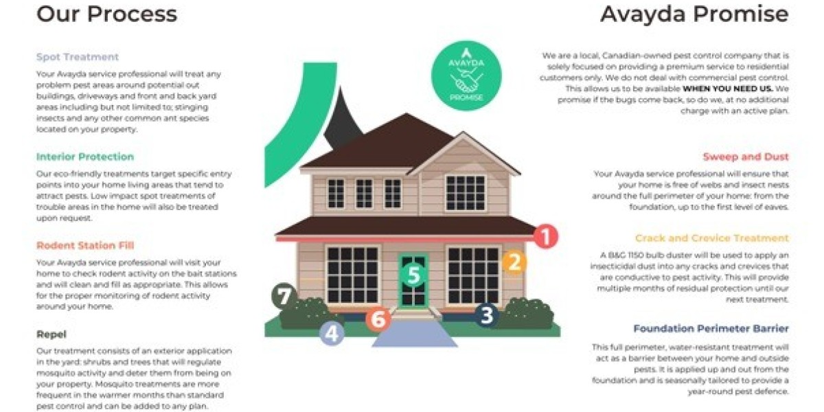 Pest Control Tips: Dealing With Summer Pests