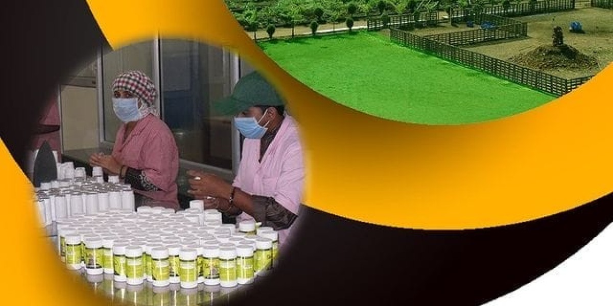 Build Your Herbal Brand with Herbal Hills – Experts in Ayurvedic Third-Party Manufacturing