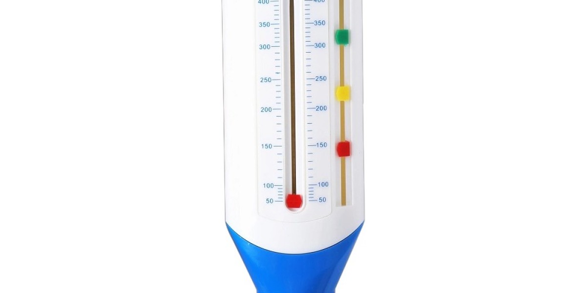 Peak Flow Meter Market Global Dynamics