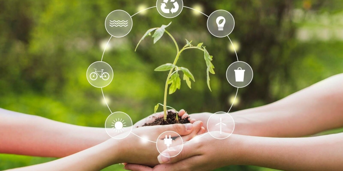 La Educación Ambiental en México como Motor de Transformación hacia el Desarrollo Sustentable y Armónico