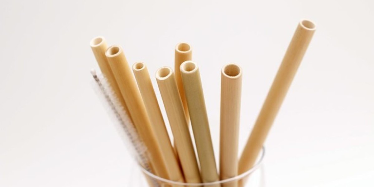 Bamboo Straw Market Share Analysis 2025 | Scope of Current and Future Industry 2035