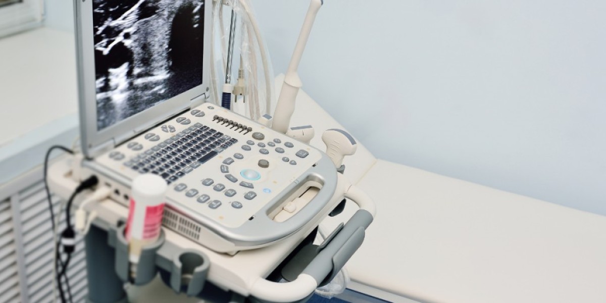 Portable Ultrasound Bladder Scanner Market Forecast Predicts Consistent Growth Driven By Aging Population