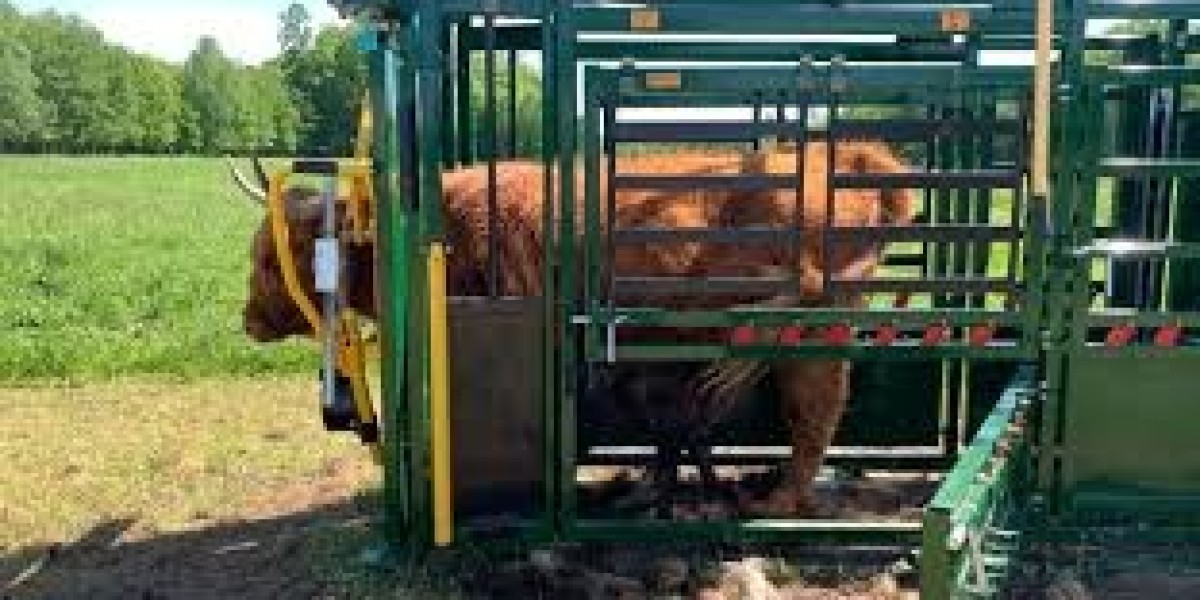 Cattle Squeeze Market Trends: Innovations Enhancing Livestock Handling Efficiency and Animal Safety Worldwide