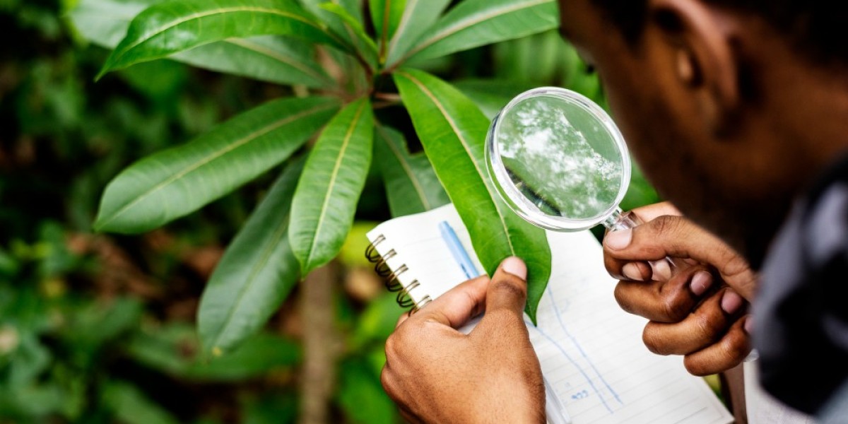 Latin America Crop Protection Chemicals Market to Witness Accelerated Growth 2025-2033