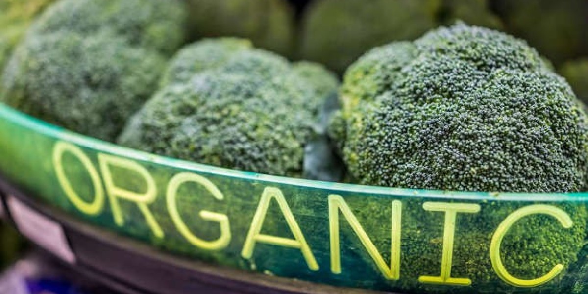 United Kingdom Organic Farming Market: Trends, Growth, and Future Prospects
