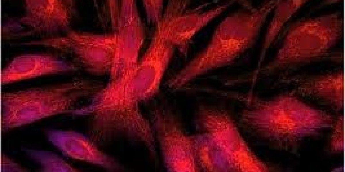 Biophotonics Market Investment Opportunities for Stakeholders in Cutting Edge Healthcare Research