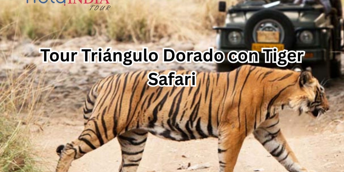 Tour Triángulo Dorado con Tiger Safari – Un Viaje entre Palacios y la Selva
