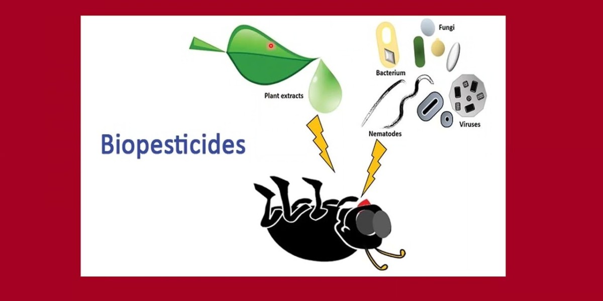 Biopesticides Market Forecast Projects Strong Global Growth Driven by Organic Farming and Green Innovation