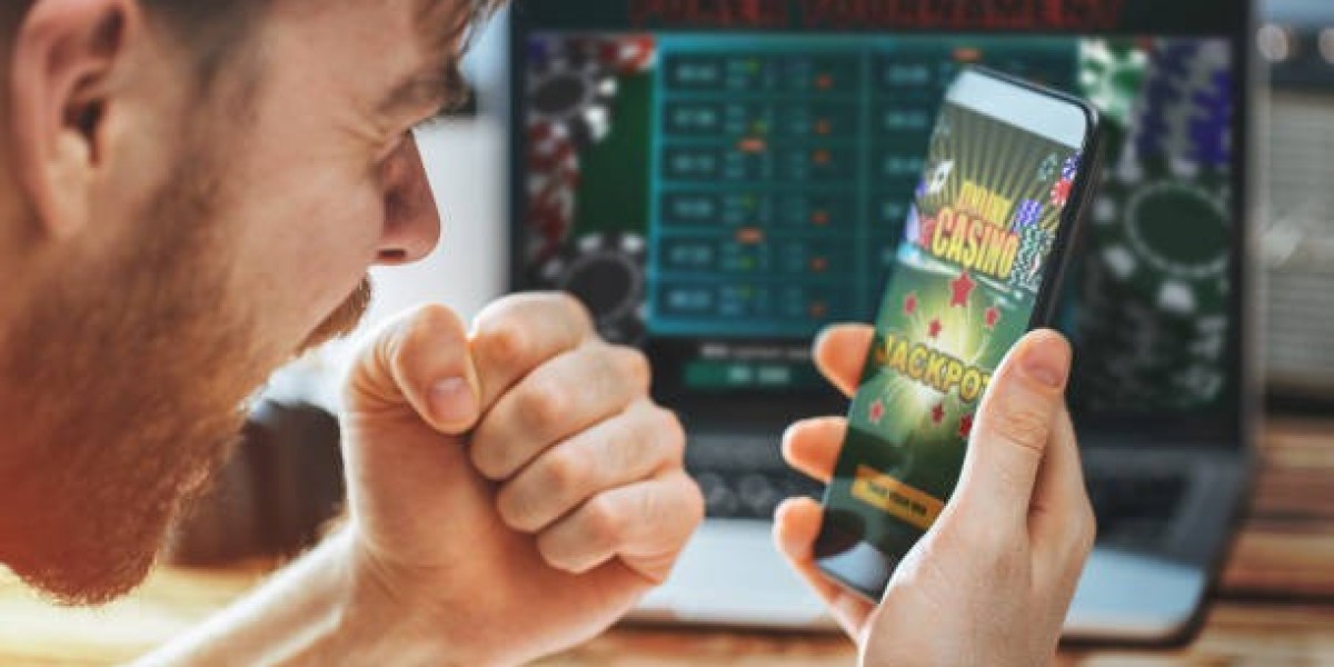 How to Compare Online Sportsbook Software Providers Before You Buy