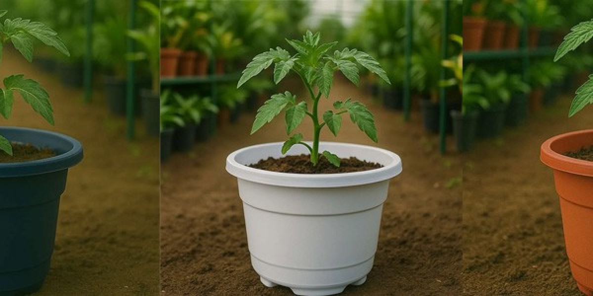 Bulk Nursery Pots Buying Guide for Nurseries and Retailers