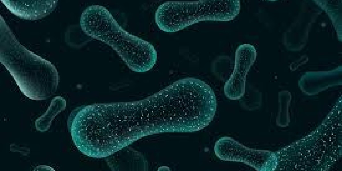 Microbial-derived Fiber Market shaped by global shift towards biodegradable fiber solutions
