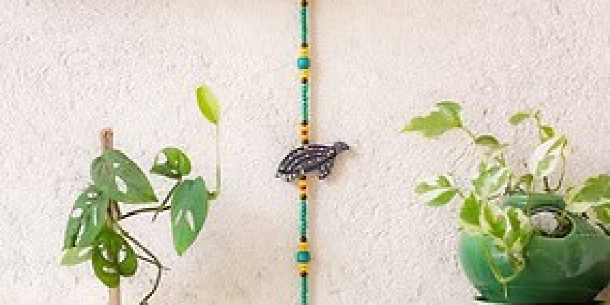 Unique Finds for Conscious Living: From Decor to Daily Use