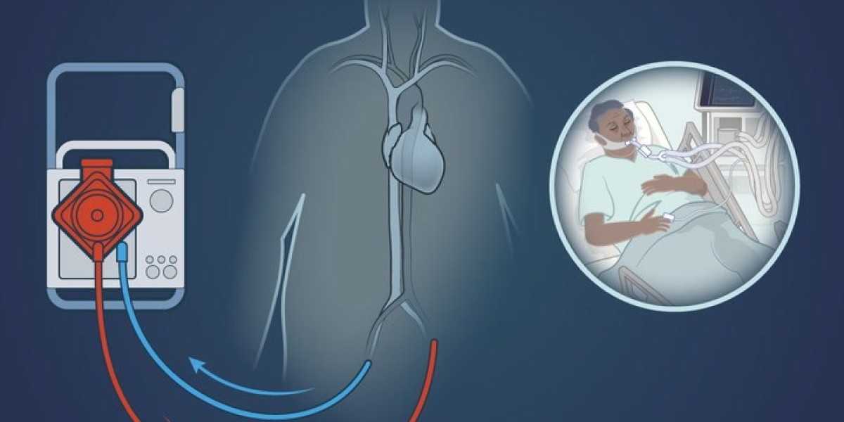 ATTR Amyloidosis Treatment Market Trends and Growth Forecast 2025-2032